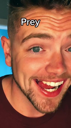 Exploring Prey and Hunter Dynamics