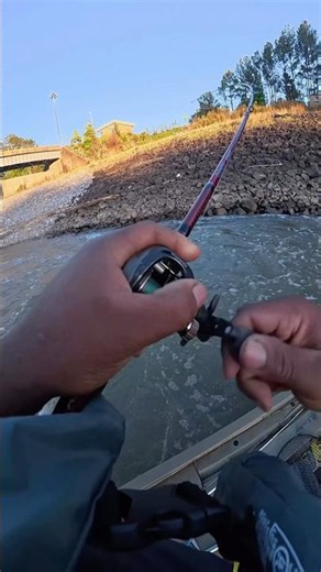 River Spillway Fishing with Ugly Stik Carbon #uglystik #fishingrod #riverfishing #spillwayfishing