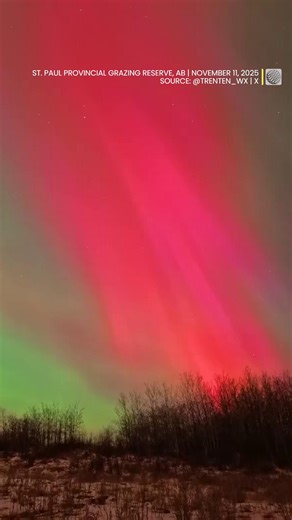 Did you spot the northern lights last night? ✨ A strong geomagnetic storm gave much of North America an overnight show on November 11, in the form of beautiful auroras. 🤩 Watch more video: https://ow.ly/4pTf50XqECY | The Weather Network