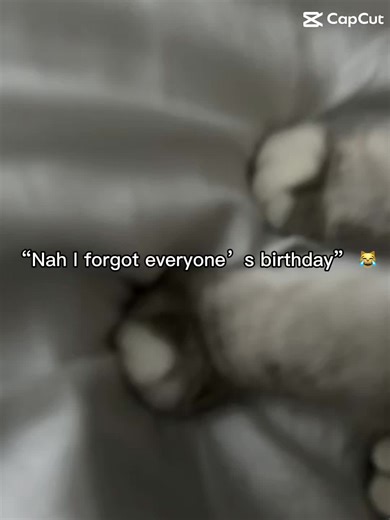 ~✯-your friend-✯~ (@totally_not_a_alien3)’s videos with original sound - ~✯-your friend-✯~