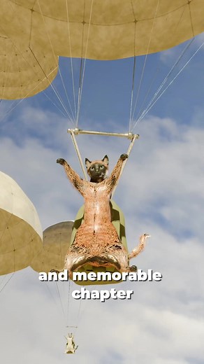 Operation Cat Drop: A Bold Solution to Borneo's Rat Problem