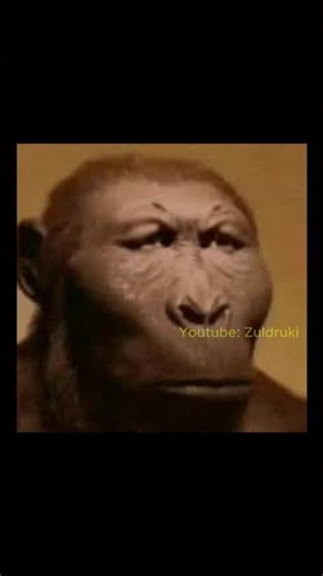 Mega Minion😭💔...