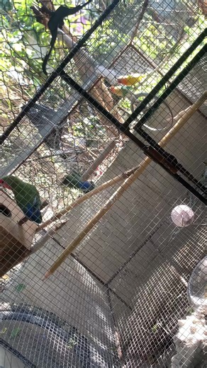 Cuentas recomendadas