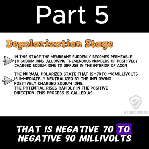 Nerve Cells Are Actually Insane | Part 5 #biology #anatomy #doctor #mbbs