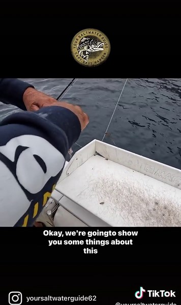 Cómo manejar los sculpines y qué NO hacer