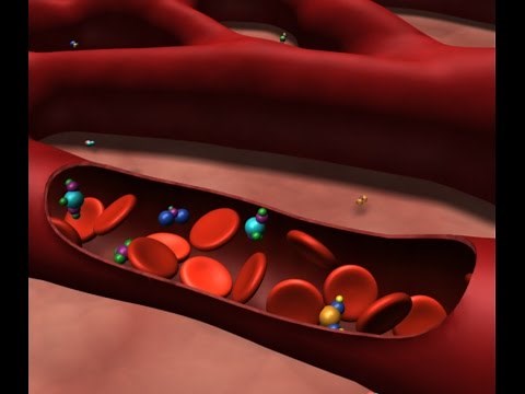 Preventing Iatrogenic Anemia