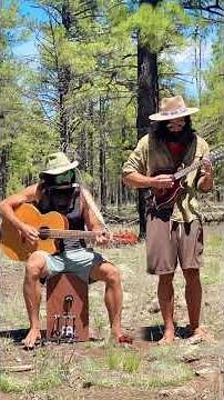 Whiskey Before Breakfast. #mandolin #fiddletune #oldtimemusic #traditional #folk