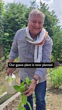 The grounding moment you didn't know you needed #planting #gardening #mindful#peepalbabafan11