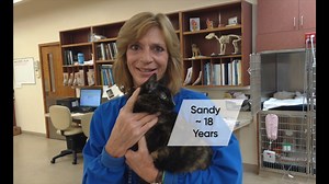 🤟 You Rock! Celebrate Veterinary Technicians 🤟 We're celebrating our rock-star team of Veterinary Technicians! October 13-19, 2024 is Veterinary Technician Week, and we want each and every Grady Vet team member to know how much we appreciate their compassion, veterinary expertise and dedication to animals. | Grady Vet
