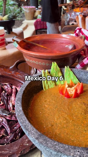 Adulting.lol on TikTok