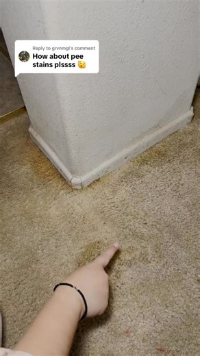 Removing pee stains from my carpet! #cleaning #carpetstain #carpetcleaning | Quick’n Brite All Purpose Cleaner