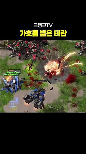 가호를 받은 테란