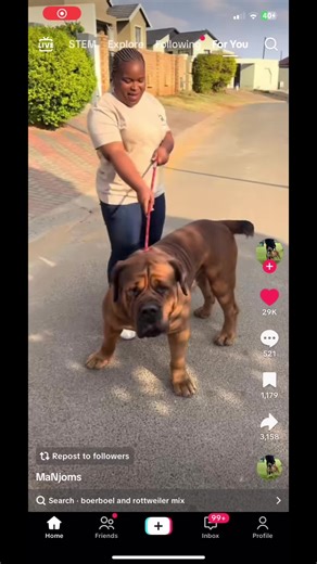 Identify That Unique Dog Breed Today!