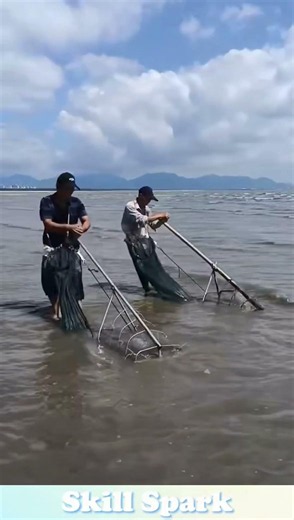 Rake Net Shellfish Gathering on Tidal Flats#fishing