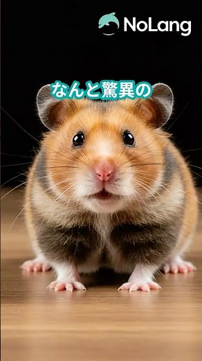 世界ギネス記録で最も長生きしたハムスター！#ハムスター #寿命 #ギネス #長生き #雑学 #豆知識 #動物雑学