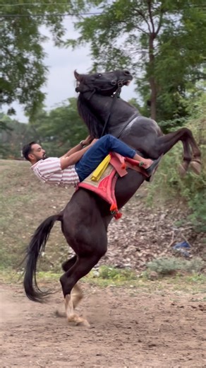 mangal 🐎 | Morlo❤️‍🔥 | Instagram