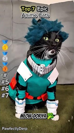 Top 7 Epic Anime Cats #cat