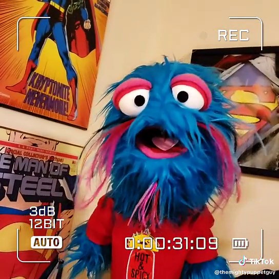 All New ORIGINAL Character Build - Work in Progress. 🌮 PERFORMED by ME 😊 #original #character #puppets #puppetry #jonathancaustrita