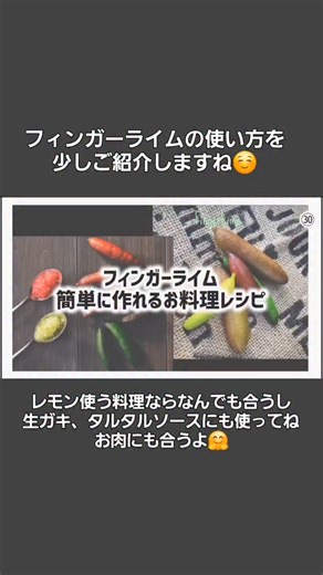 こるふぁーむ on Instagram: "ちょこっとだけ、フィンガーライムを使ったお料理レシピをご紹介します☺️ 今の時期は果実販売は冷凍のみです。苗木は一年中販売しています🍀 いつでもお問い合わせください🍀 #こるふぁーむ #corufarm #フィンガーライム #fingerlime #フィンガーライム販売店"