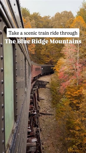 21M views · 337K reactions | Send this to someone you’d take a fall...