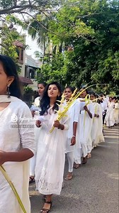 GOSPEL EXPRESS on Instagram: "Palm Sunday ✝️🌴🌴 CREDITS : CSI ST.MATTHEWS CHURCH (EAST TAMBARAM) #gospelsinger #gospelmusic #gospelartist #gospelsingers #gospel #gospelsong #christianmusic #gospelmusicians #gospelrap #worship #gospelmente #gospelchoir #gospelsongs #gospelradio #gospelhiphop #music #gospelchops #gospeltruth #jesus #musicagospel #gospeltalk #newmusic #singer #church #praise #worshipmusic #god #christian #gospelconcert #mercychinwo"