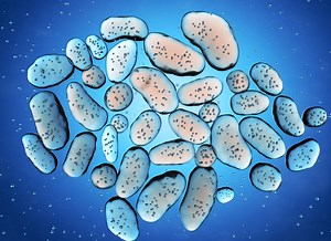 Gastro-entérite : épidémie 2021-22, symptômes, durée, comment la soigner ?