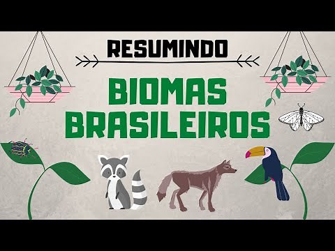 Main Brazilian biomes | In short