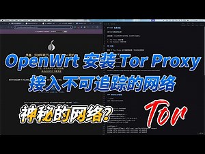 OpenWrt 安装 Tor Proxy，接入不可追踪的网络，很神秘的网络？