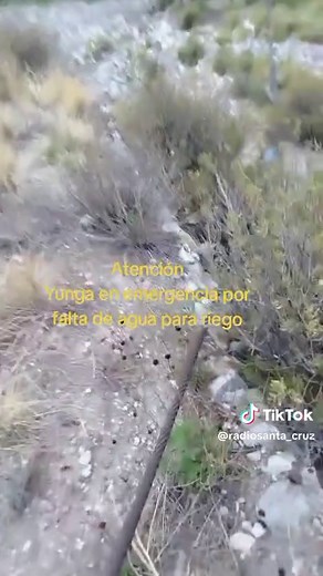 Yunga en Crisis: Falta de Agua para Riego Agrícola