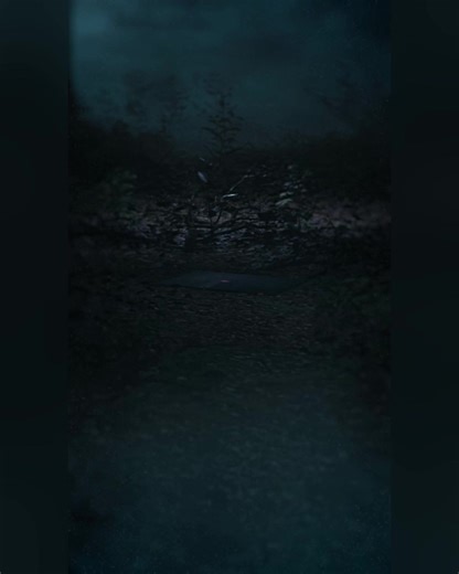The shadows are stirring. “Don’t Go In The Forest” -our new album- is almost here. Limited edition, exclusive signed vinyl variants, CDs, and fresh merch are waiting for you. Pre-order now to have them ship close to / on release day, October 31. https://world.avatarmetal.com/collections/dont-go-in-the-forest-music | Avatar