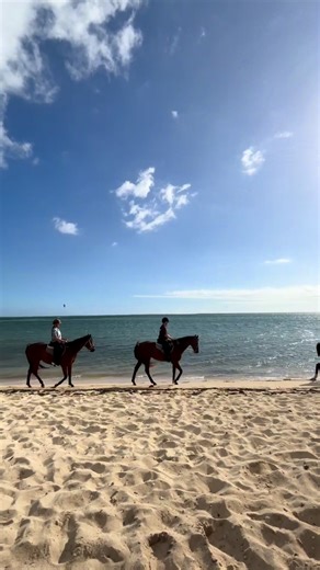 Explore Mauritius: A Tropical Paradise