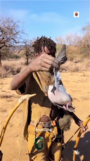Why This Tribal Arrow Takes 1 Year to Make 😱