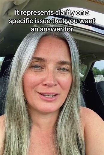 Technique for Using the Silva Method