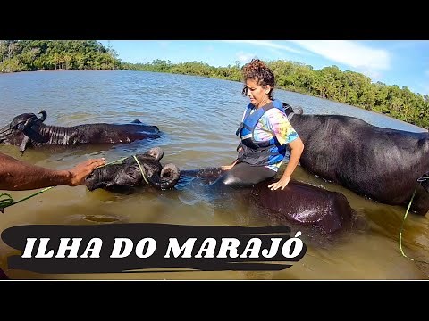 FIZEMOS TODOS OS PASSEIOS NA ILHA DO MARAJÓ NO PARÁ