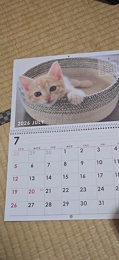 2026年のカレンダー・5月から9月まで🐈️
