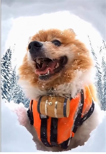 Pom the Puppy Rescues You in a Hilarious Adventure!