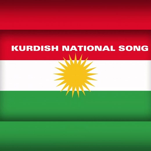 Kurd på TikTok