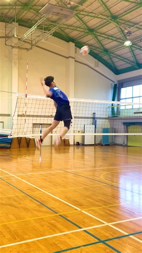 低身長なら飛べ！ #ジャンプ力 #haikyuuxyn #volleyballworld