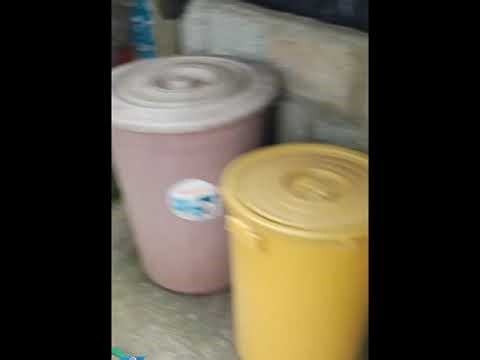 Vaccine Before Breeding Gilt & Sow to prevent Mummified Fetuses| AI by ATLAS Swine Technician