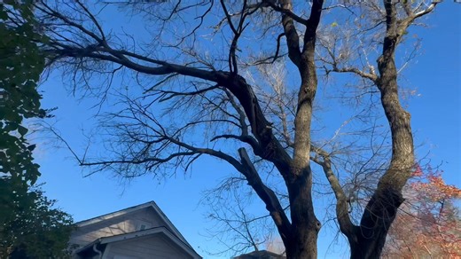 Enjoy the rest of your weekend everybody! | Viking Tree Services