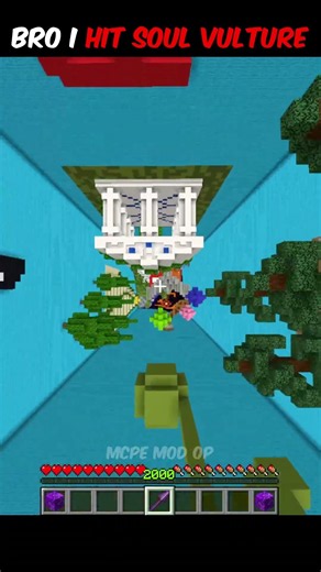 Bro I Hit Soul Vulture #minecraft