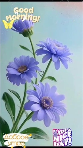 😺A toi @Joe Dassin #goodmorning 💕