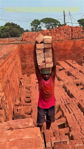 Balancing Bricks: The Skill of Brick Workers