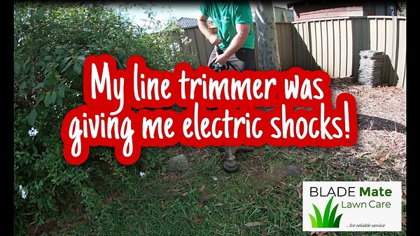 Stihl FS80 Put to the Ultimate Test