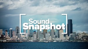 Did you know Invisible Fence® Brand has solutions for both inside and outside your home? Find out how Invisible Fence Indoor Solutions can help you this holiday season at https://hubs.ly/H0m1C930 | Invisible Fence of Upstate NY