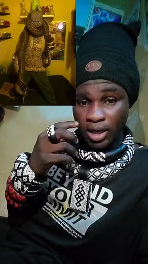 Caring for Your Python: Tips for Reptile Enthusiasts