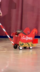Christmas Otter Express! 😍 #otters #seaworld #familytime #Christmas #cuteanimals | SeaWorld Videos