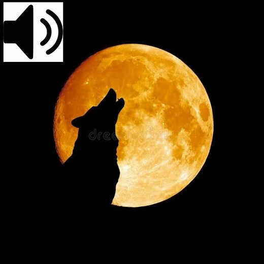 Howling Wolf Sound Effect