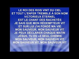 MON SAUVEUR VIT - Stéphane Quéry