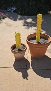 Sculpt with papercete and trash